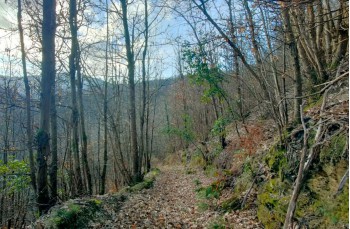 Itinéraire en boucle depuis le Sanctuaire de Velva via Pavareto et S. Nic