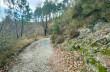Trail ad anello dal Santuario di Velva per Pavareto e S. Nicolao