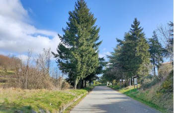 Circular trail from the Sanctuary of Velva via Pavareto and S. Nicolao