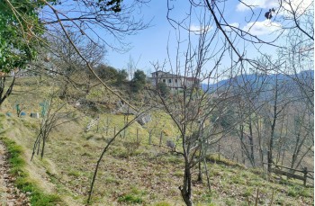 Rundweg dal Santuario di Velva per Pavareto e S. Nicolao