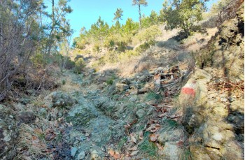 Trail ad anello dal Santuario di Velva per Pavareto e S. Nicolao
