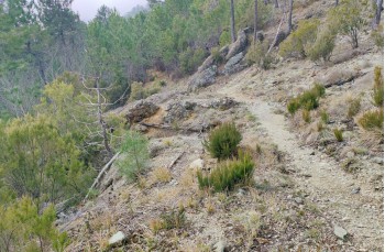 Itinéraire en boucle depuis le Sanctuaire de Velva via Pavareto et S. Nic