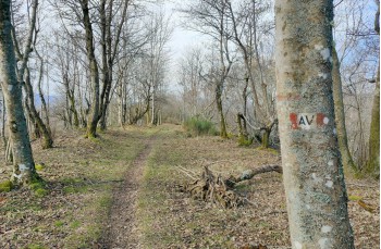 Trail da Barbagelata al Monte Lavagnola.