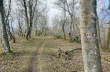 Trail da Barbagelata al Monte Lavagnola.
