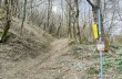 Trail da Barbagelata al Monte Lavagnola.