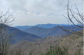 Trail da Barbagelata al Monte Lavagnola.