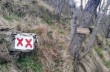 Passo serra verso Passo della Spinarola