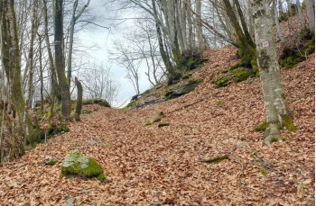 Trail da Barbagelata al Monte Lavagnola.