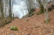 Trail da Barbagelata al Monte Lavagnola.