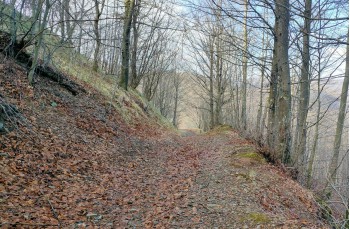 Trail da Barbagelata al Monte Lavagnola.