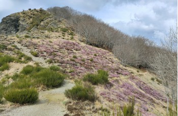 Trail da Barbagelata al Monte Lavagnola.