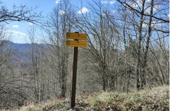 Itinéraire en boucle au départ de Montebruno dans la Val Trebbia.