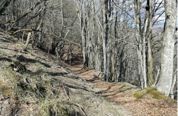 Itinéraire en boucle au départ de Montebruno dans la Val Trebbia.