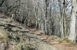 Trail loop starting from Montebruno in the Val Trebbia.