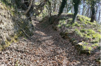 Trail ad anello con partenza da Montebruno in Val Trebbia.