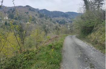 Trail ad anello Lago di Malanotte - Passo del Bozale - Lago Giacopiane