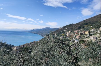 Trail Loop among the Creuze of Camogli starting from Ruta