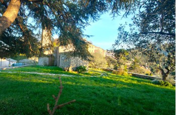 Trail Loop among the Creuze of Camogli starting from Ruta
