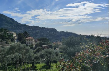 Anello tra le Creuze di Camogli con partenza da Ruta