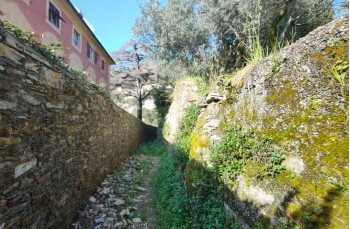 Trail Loop among the Creuze of Camogli starting from Ruta