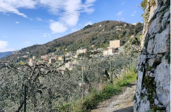 Trail Loop among the Creuze of Camogli starting from Ruta