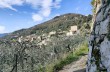 Anello tra le Creuze di Camogli con partenza da Ruta