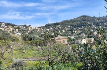 Itinéraire en boucle parmi les creuze de Camogli au départ de Ruta