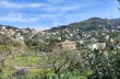 Trail Loop among the Creuze of Camogli starting from Ruta