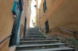 Itinéraire en boucle parmi les creuze de Camogli au départ de Ruta