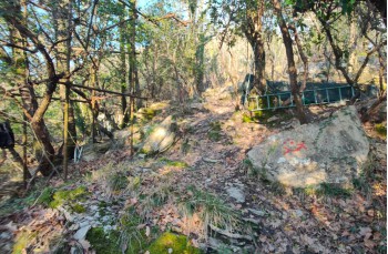 Itinéraire en boucle parmi les creuze de Camogli au départ de Ruta