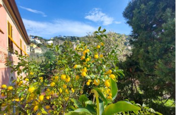 Rundweg entlang der Creuze von Camogli mit Start in Ruta