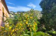 Rundweg entlang der Creuze von Camogli mit Start in Ruta