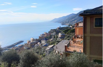 Trail Loop among the Creuze of Camogli starting from Ruta