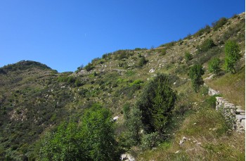 Chignero - Pendici Monte Bello - Monte Bello - Monte Borgo - Passo Serra 3d