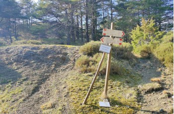 Loop trail Passo del Biscia - Colle valletti - Monte Baralucco