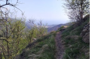 Chignero - Pendici Monte Bello - Monte Bello - Monte Borgo - Passo Serra 3d