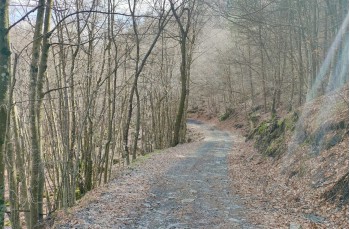 Itinéraire en boucle Passo del Biscia - Colle valletti - Monte Baralucco