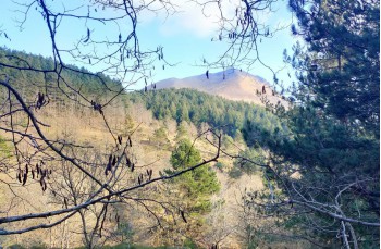 Trail ad anello Passo del Biscia - Colle valletti - Monte Baralucco