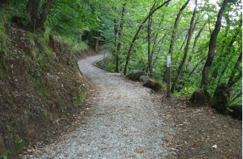 Trekking from Santa Margherita Ligure to San Fruttuoso and back