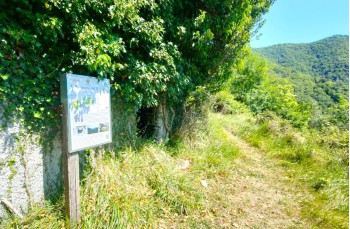 Route of about 8 kilometers starting from Rapallo arriving to Montallegro