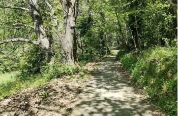 Anello di circa 8 chilometri da Rapallo arrivo a Montallegro via Tuia.