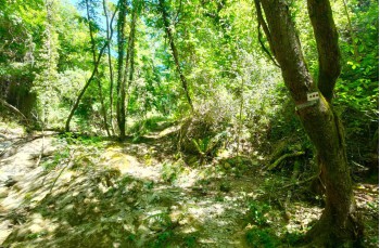 Route of about 8 kilometers starting from Rapallo arriving to Montallegro
