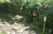 Route of about 8 kilometers starting from Rapallo arriving to Montallegro