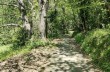 Rundweg von etwa 8 Kilometern von Rapallo nach Montallegro über Tuia