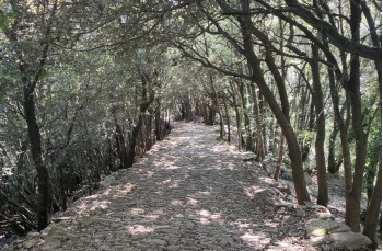 Route of about 8 kilometers starting from Rapallo arriving to Montallegro