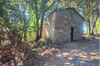 Route of about 8 kilometers starting from Rapallo arriving to Montallegro