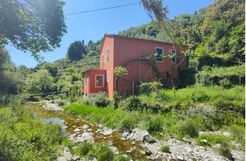 Anello di circa 8 chilometri da Rapallo arrivo a Montallegro via Tuia.