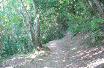 Wanderung zu Fuß von Portofino nach Camogli über Pietre Strette