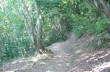 Wanderung zu Fuß von Portofino nach Camogli über Pietre Strette