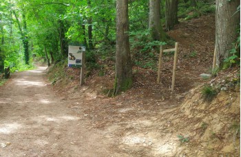 Rundweg Portofino Vetta, Felciara und Bocche
